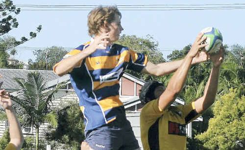 Trying times: Ryan Gottke reaches up high during a line-out against Caloundra at Albert Park at the weekend. Trying times: Ryan Gottke reaches up high during a line-out against Caloundra at Albert Park at the weekend.